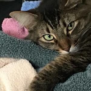 Meet your Posher, Dee